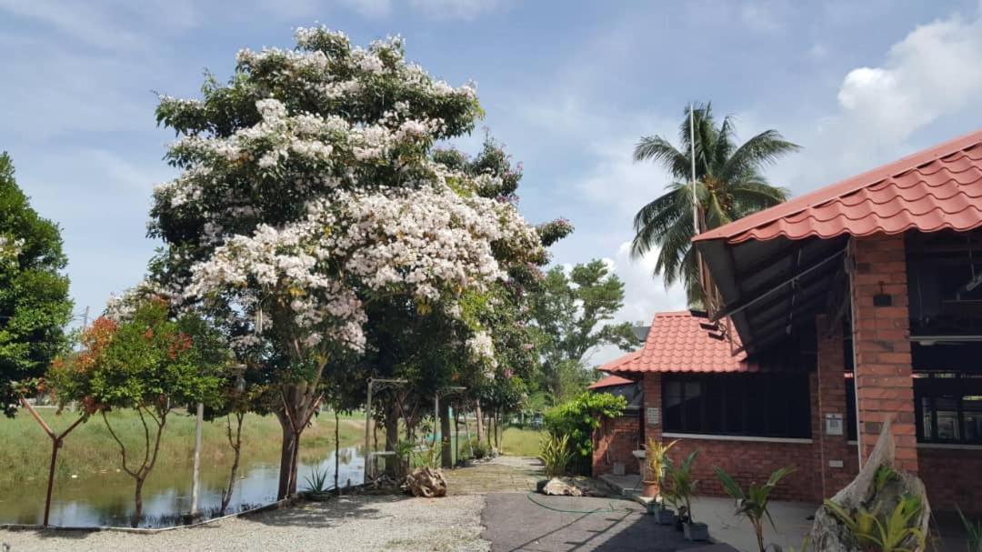 Homestay Umbai Kelana Merlimau Exteriör bild