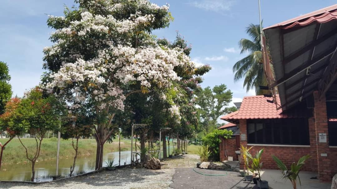 Homestay Umbai Kelana Merlimau Exteriör bild